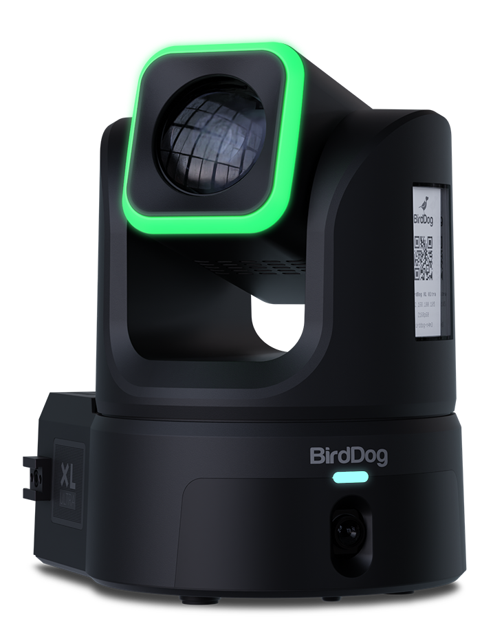 Birddog XL Ultra